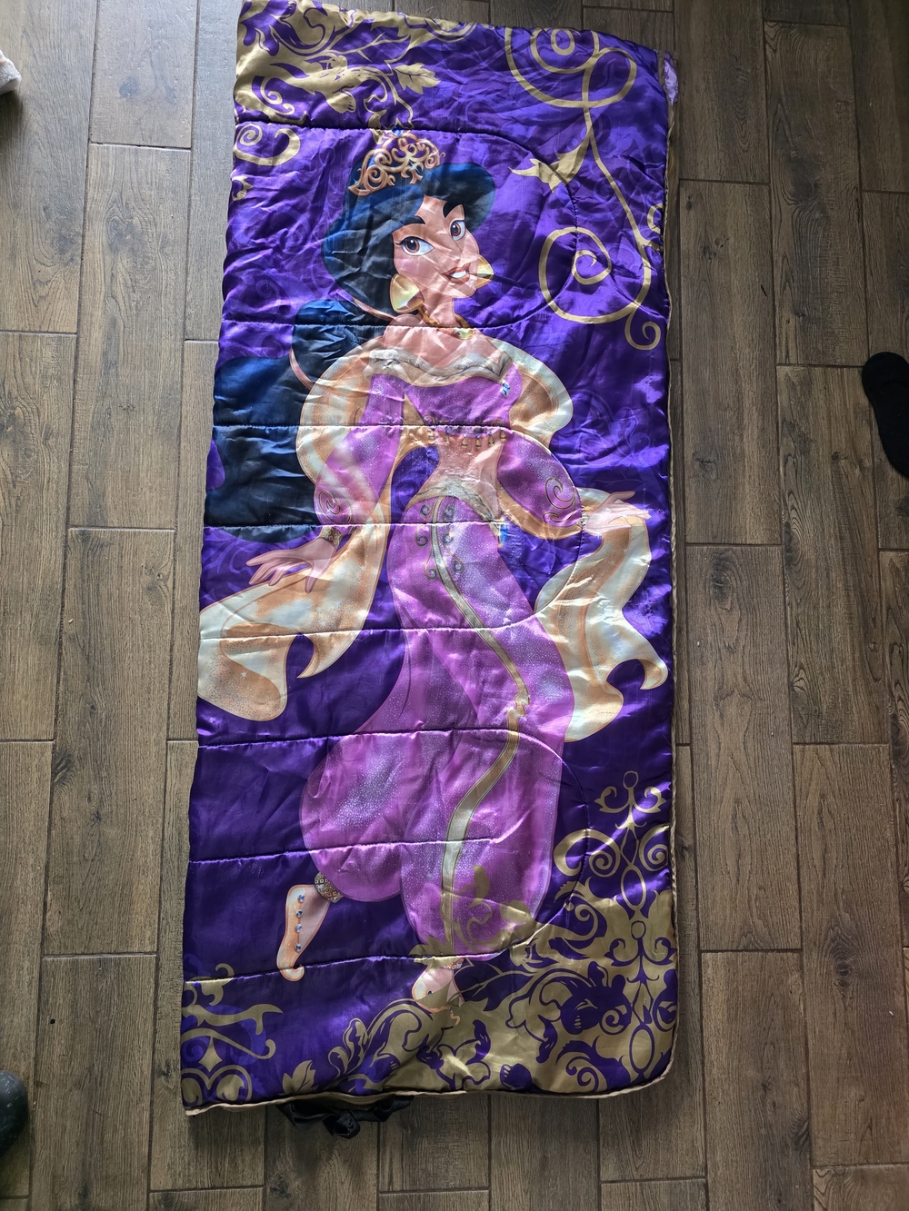 Disney Purple and Gold Princess Jasmine Sleeping Bag Cover